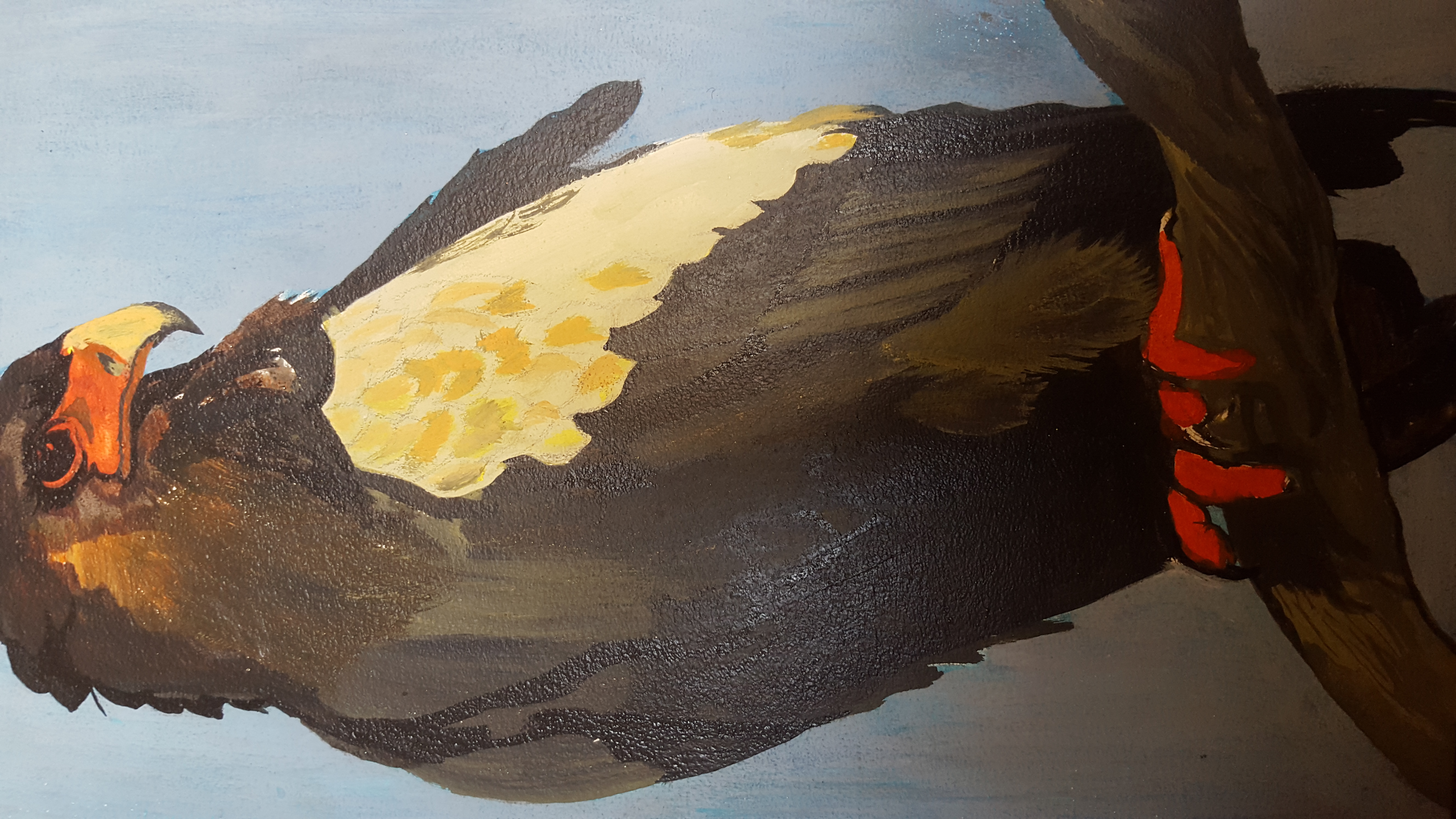 eagle