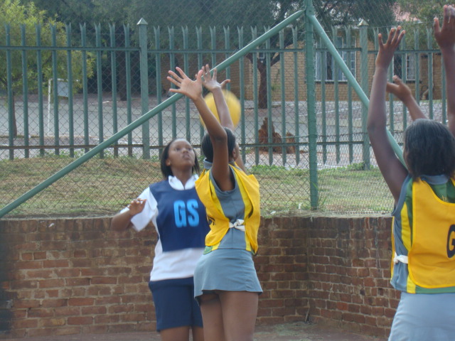 Impala Netball Tournament